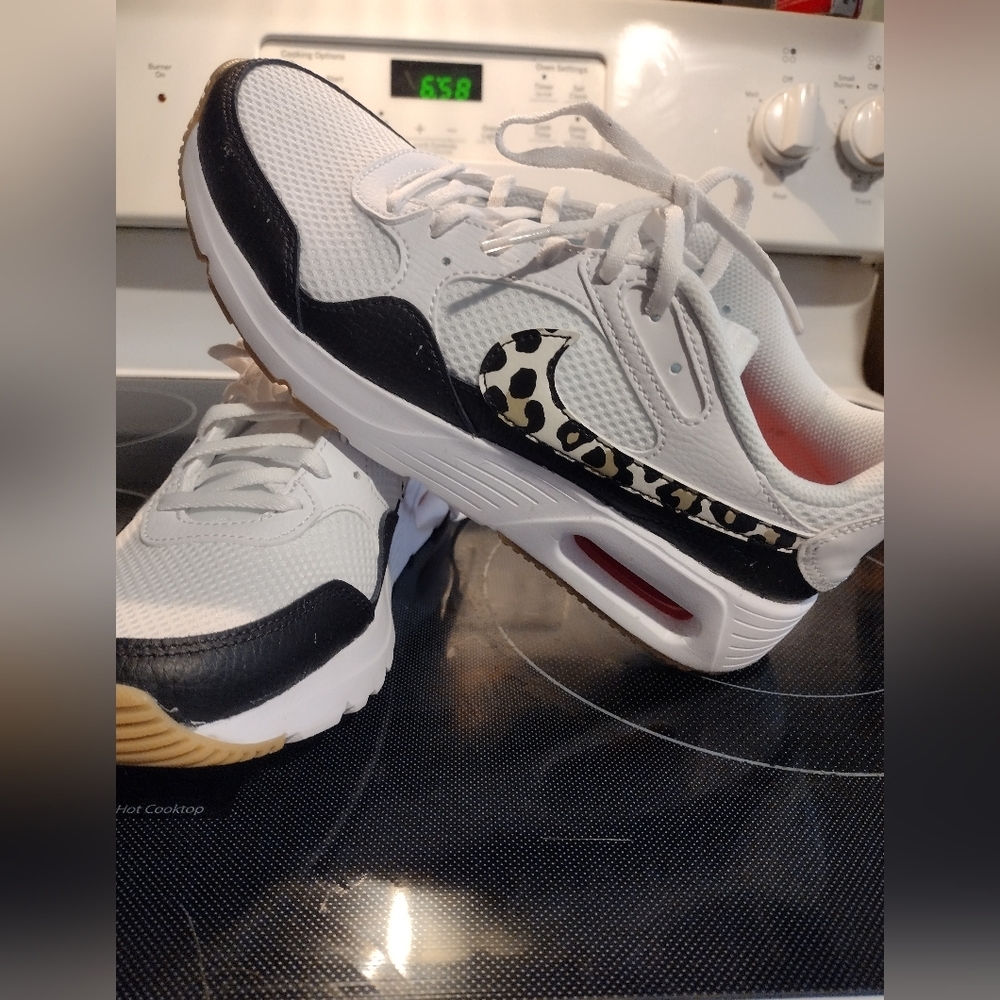 Nike Air Max